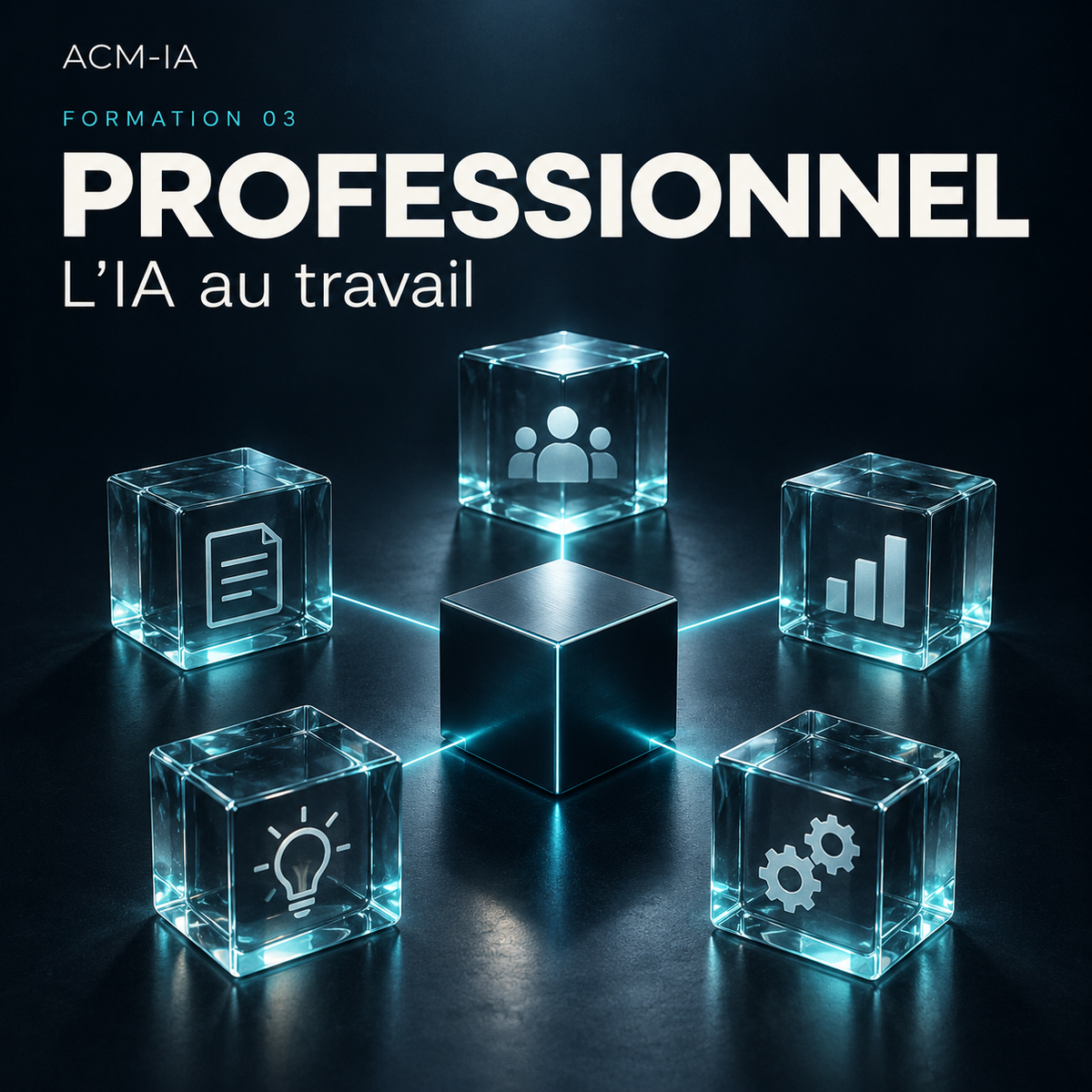 Professionnel